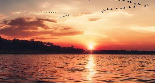 今天的我，去陪伴明天的自己